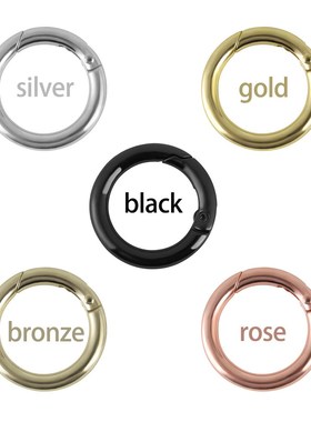 5Pcs Round Carabiner Spring Snap Clips Hook Keychain Keyrin