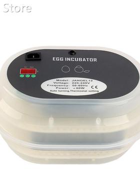 12 Digital Egg Incubator Hatching Temperature Control Automa