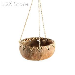 Coconut Shell Succulent Planter Pot Bonsai Flowerpot Planter