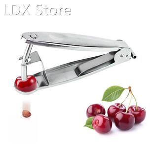 Stainless Steel Cherry Pitter Stainless Steel Innovative Cor