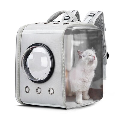 2020 New Pet Cat Bag Transparent Pet Backpack Foldable Spac