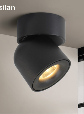 Aisilan Led  Surface Mounted Ceiling Downlight Adjustable 90