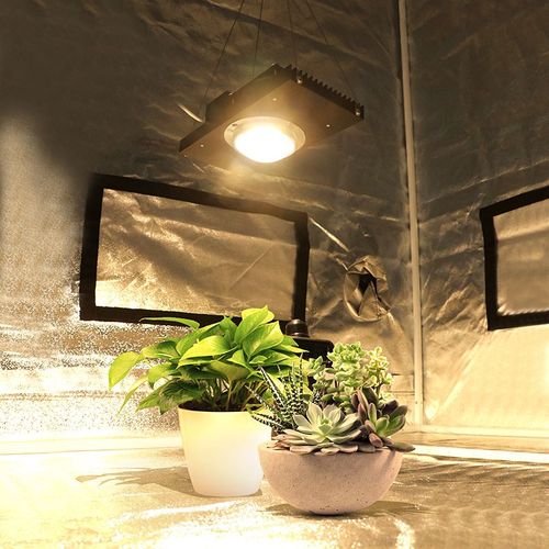 CREE CXB3590 100W 200W COB LED Grow Light Full Spectrum Repl