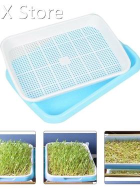 Plastic Durable Sprouting Tray Double Layer Bean Sprouts Hyd