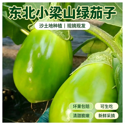 本地绿皮长茄子现采直发无空心鲜嫩薄皮农家自种家常炒菜时令生鲜