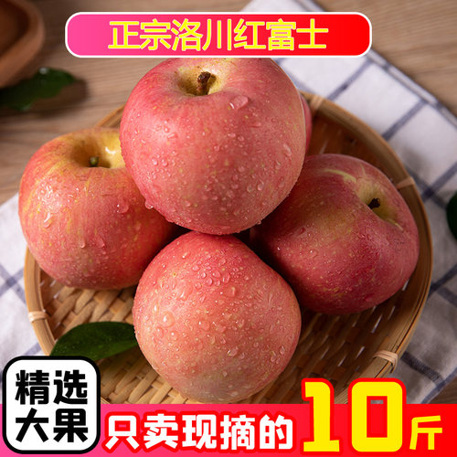 正宗山东烟台红富士苹果冰糖心