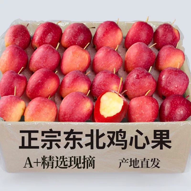 东北鸡心果新鲜 酸甜爽口锦嘎啦小苹果孕妇水果小沙果 绣海棠果