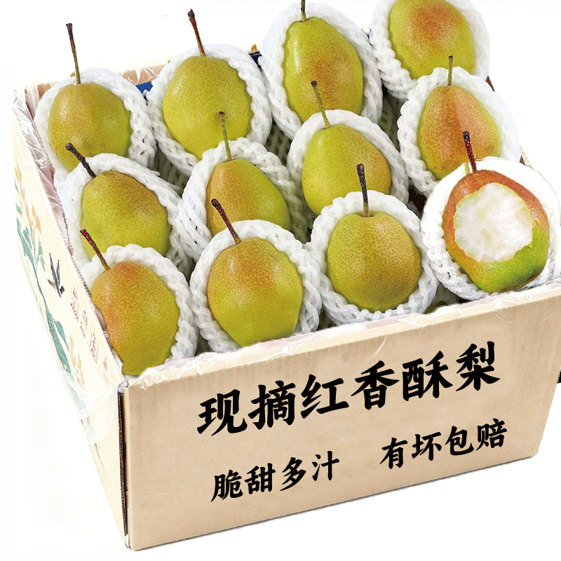 红香酥梨水果新鲜当季香梨脆甜多汁9斤应季山西梨子批整箱包邮