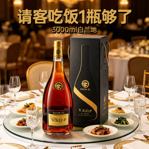 法国VSOP白兰地3L洋酒40度礼盒
