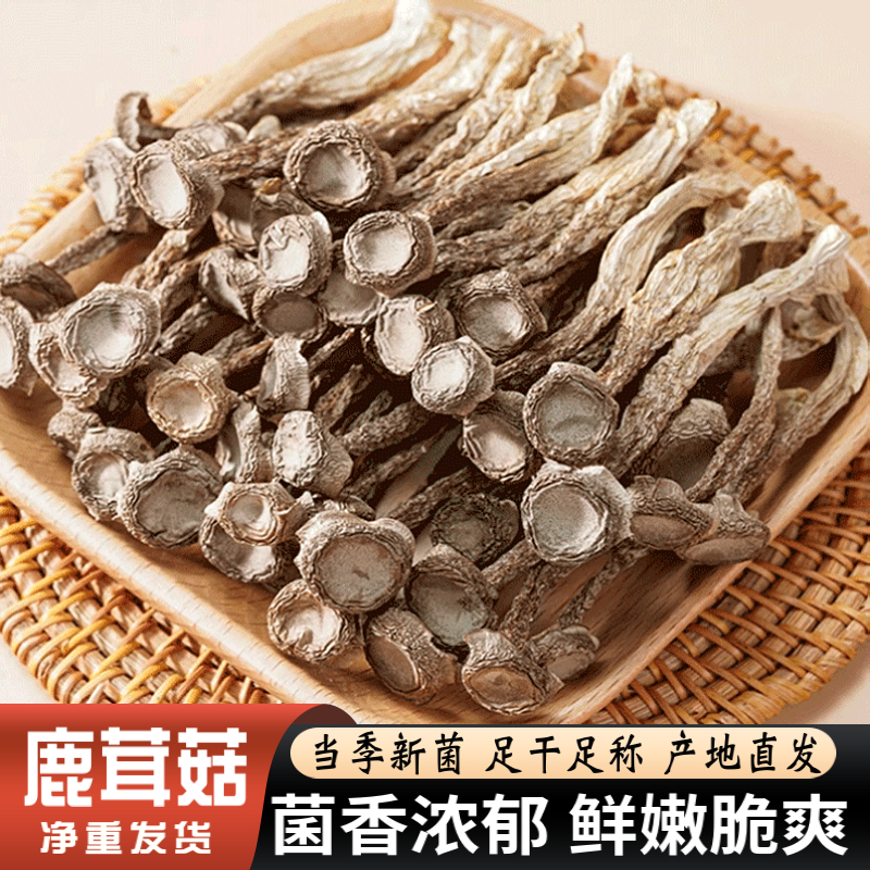 精选当季鹿茸菇干货菌菇