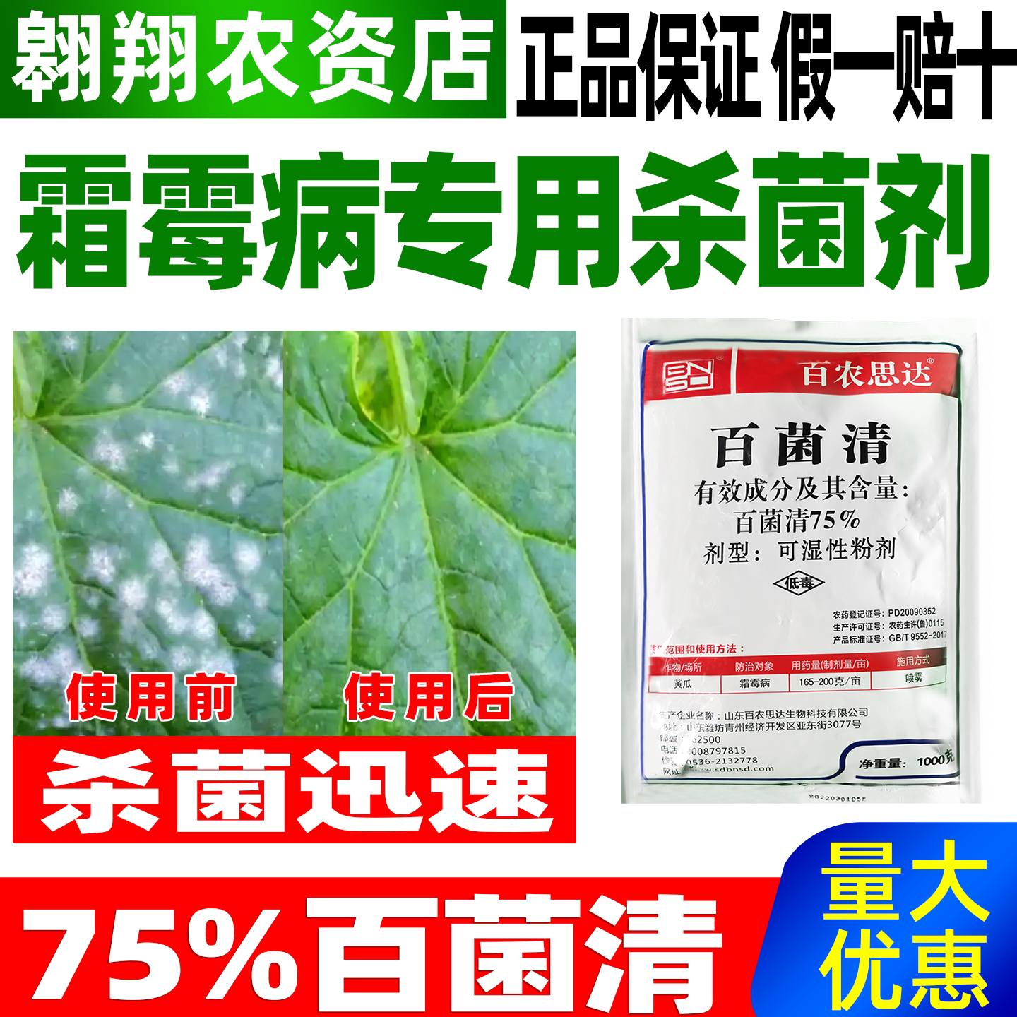 百农思达75%百菌清黄瓜霜霉病图片