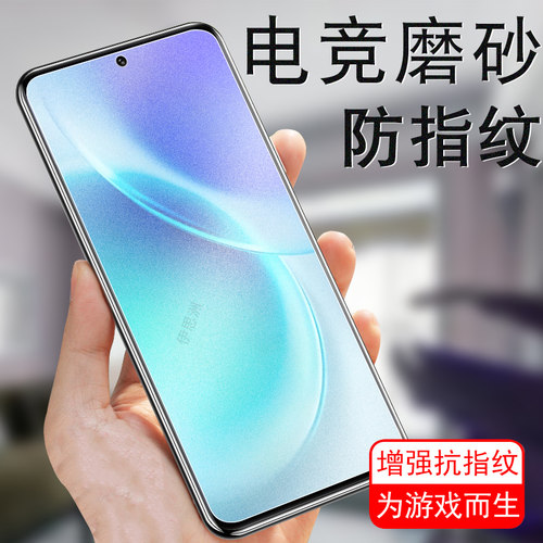 适用vivox300/x300pro磨砂钢化膜