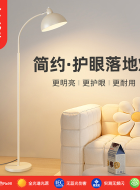 落地灯客厅沙发现代简约全光谱卧室奶油风格ins侘寂护眼立式台灯