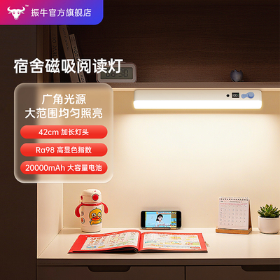 磁吸阅读灯护眼台灯学习专用学生酷毙灯长条宿舍书桌充电长条灯