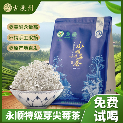 古溪州永顺莓茶张家界官方好吃的店新茶正品龙须芽尖藤茶土家特产