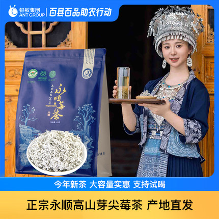 古溪州永顺莓茶125g龙须芽尖茶张家界官方旗舰店特级野生好茶藤茶