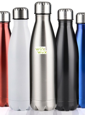 Insulated Vacuum Flask Stainless Steel Water Bottle