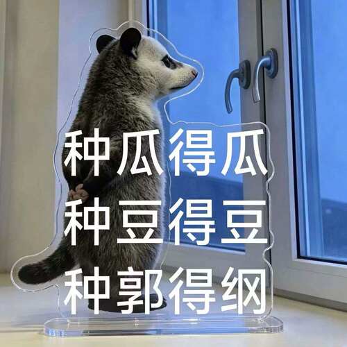 小红书爆款负鼠表情包压克力立牌创意搞怪造型桌面装饰摆饰送朋友