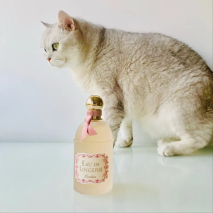 Eau Lingerie香水小样试用1ml3ml 之水系列内衣之水 娇lan仪式