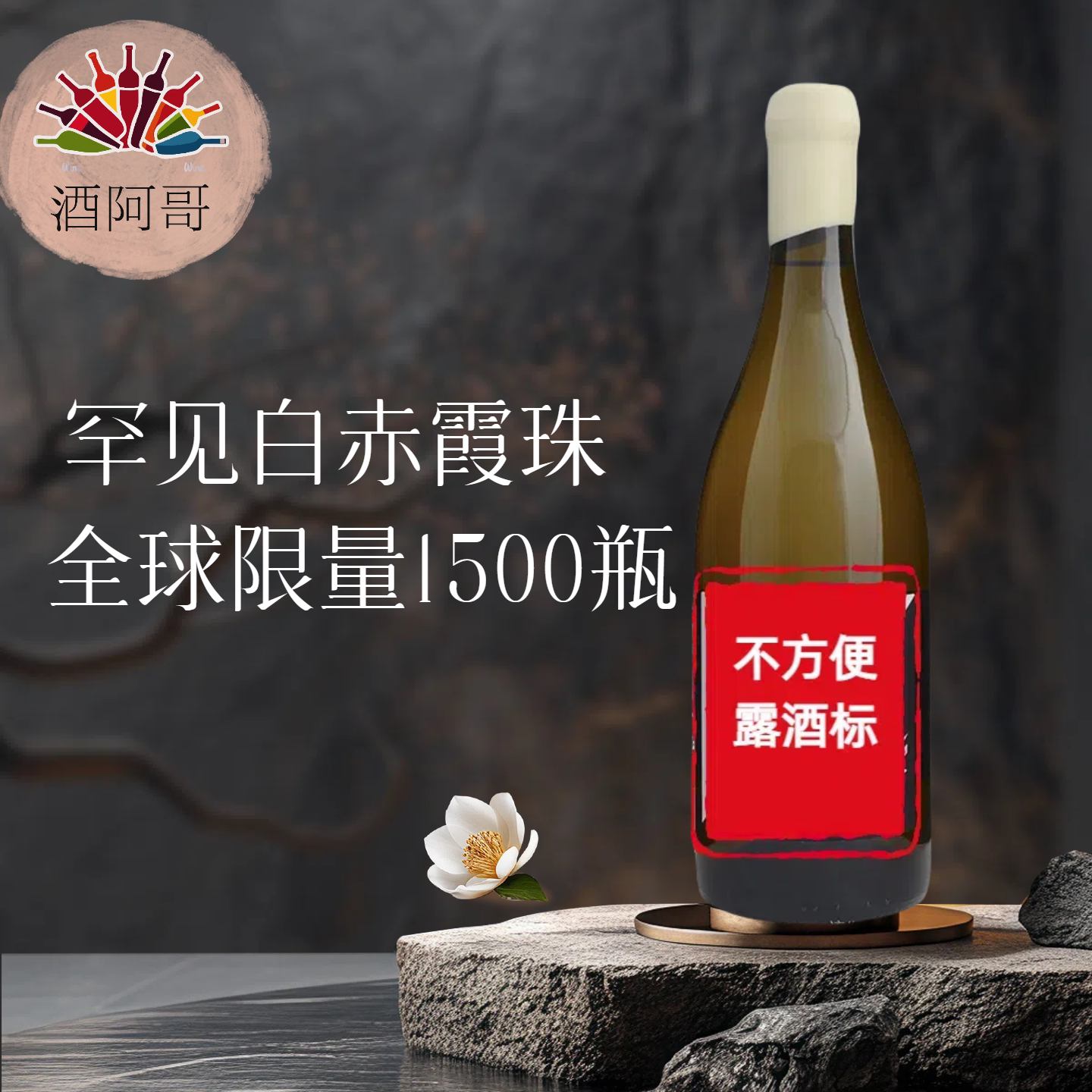 法国中级庄黑武士黑中白葡萄酒小众酒罕见赤霞珠酿制白葡萄酒