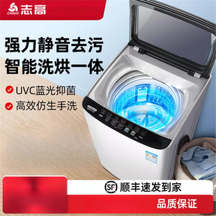 志高8.2 10KG全自动洗衣机家用小型大容量波轮租房宿舍用洗烘一体