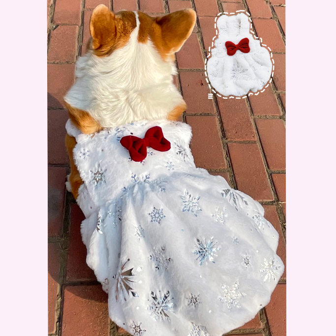 狗衣服婚礼宠物新春圣诞吊带毛绒南瓜裙柯基狗狗蝴蝶结秋冬裙子