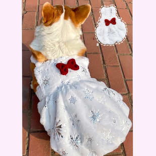 狗衣服婚礼宠物新春圣诞吊带毛绒南瓜裙柯基狗狗蝴蝶结秋冬裙子