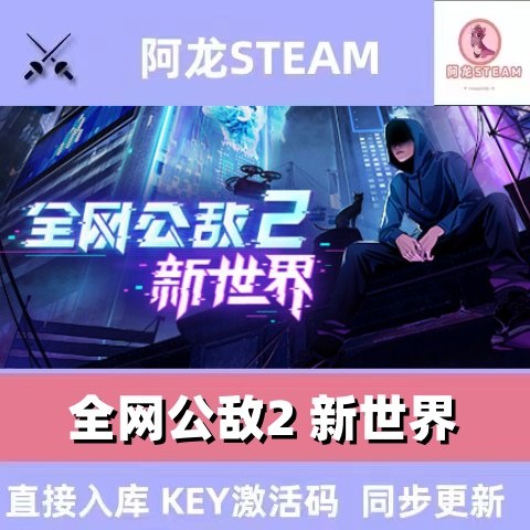 Steam全网公敌2 新世界  国区全球区激活码pc电脑游戏永久兑换码