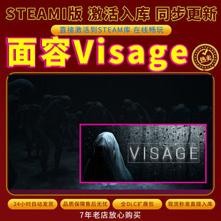 steam面容Visage激活码入库CDKKey全DLC电脑PC游戏存档单人游玩