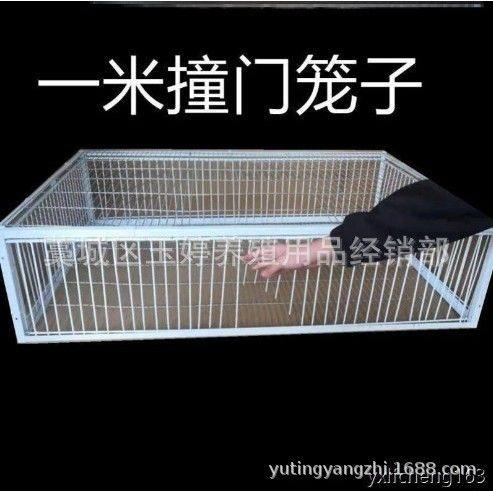 鸽子器只进不出门天落网笼户外收鸽笼逮扑捕抓鸽子神器陷阱专用