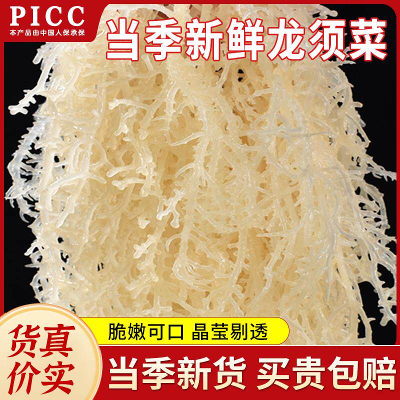 热销龙须菜新鲜海石花菜鹿角菜海草海产海藻海发菜素食凉拌菜商用