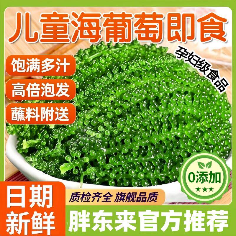 热销央妈推荐儿童海葡萄即食新鲜孕妇吃零食营养健康网红