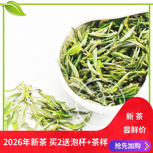 头采早春明前霍山黄芽2026年新茶核心产区内山黄牙250g黄茶叶嫩芽