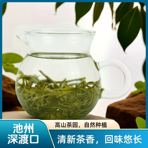 雾里西池州深渡口揉捻茶高山茶绿茶富硒滋味醇厚2025新茶