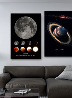 月亮海报黑白星球卧室墙贴