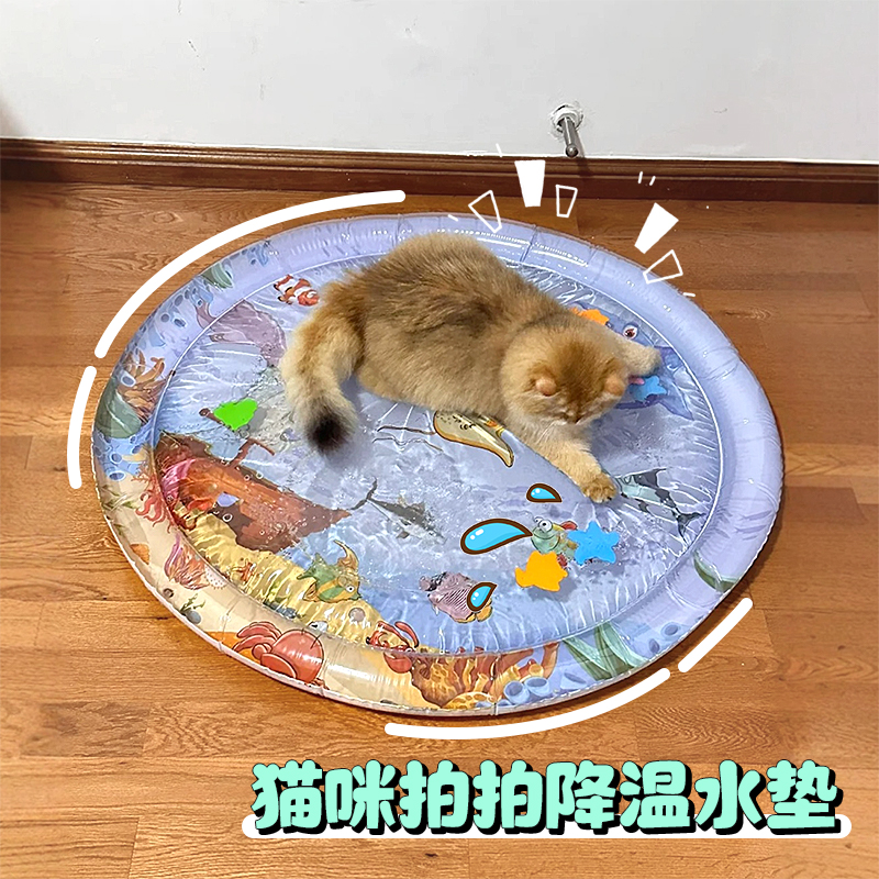 宠物注水冰垫给我家毛孩子安排了
