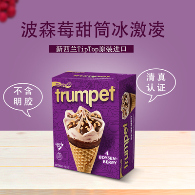TIPTOP新西兰进口波森莓甜筒冰激凌冷饮甜品网红冰激凌盒装雪糕