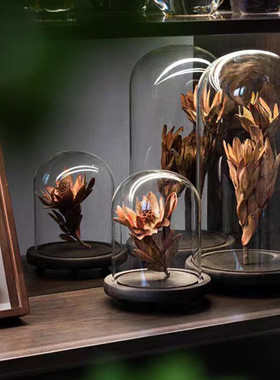 现代样板间植物主题干花玻璃罩标本干花相册画框书房家具景观摆件