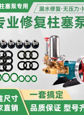 农用三缸柱塞泵打药机配件大全
