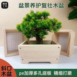 斗型斜口盆景木盆日式盆景培养养护木制花盆PVC底板PE多孔复壮盆