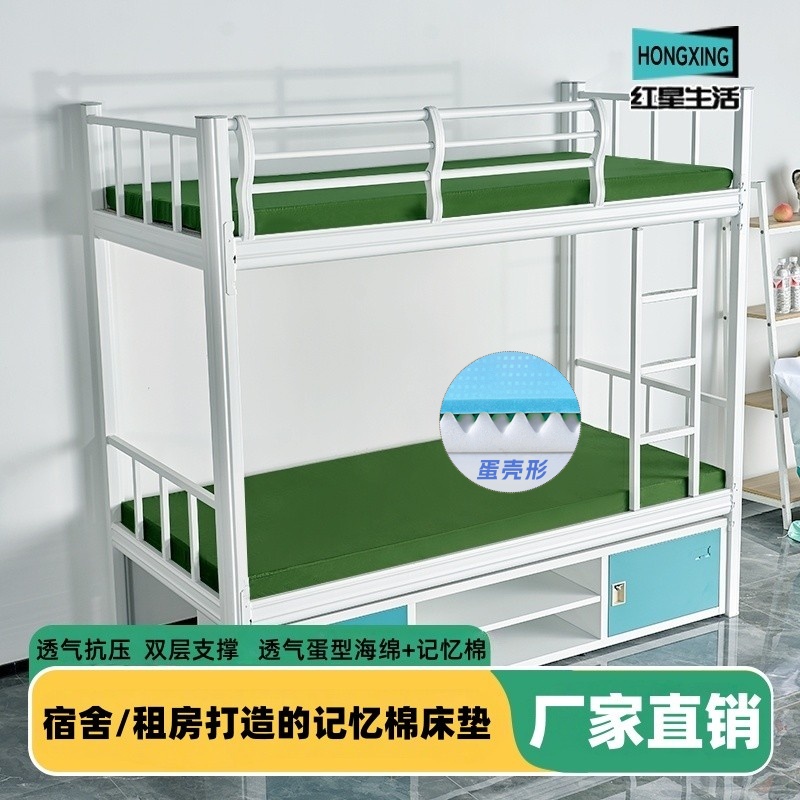 环保记忆棉单人双人软垫四季通用