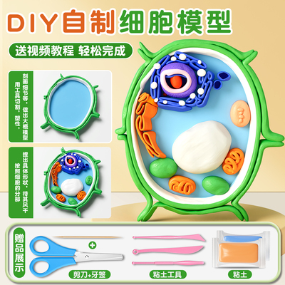 动植物细胞模型手工制作真核材料包自制款七年级初中生物作业细菌diy制作初高中生物三维真核细胞模型成品