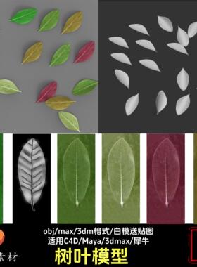 c4D叶子树叶绿叶3d模型Maya设计素材犀牛3dm/max/obj建模送贴图