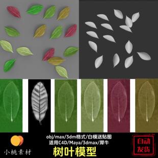 c4D叶子树叶绿叶3d模型Maya设计素材犀牛3dm obj建模送贴图 max