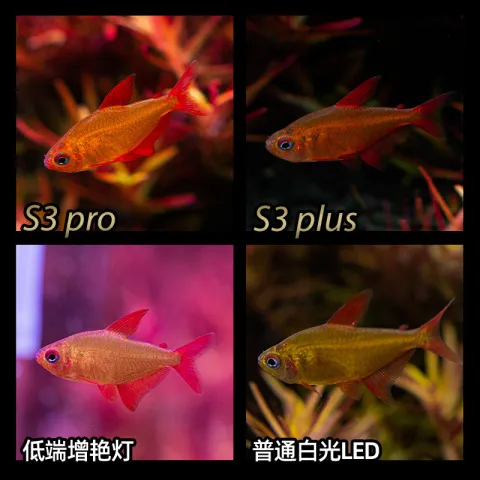 全光谱灯增艳透镜尼奥S3pro植物灯版夹RGB升级版新款+水草高亮度