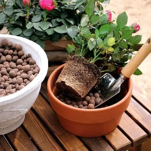 種植輕質多肉鋪面思威小號養花介質墊底透氣園藝陶粒吸水博蘭花