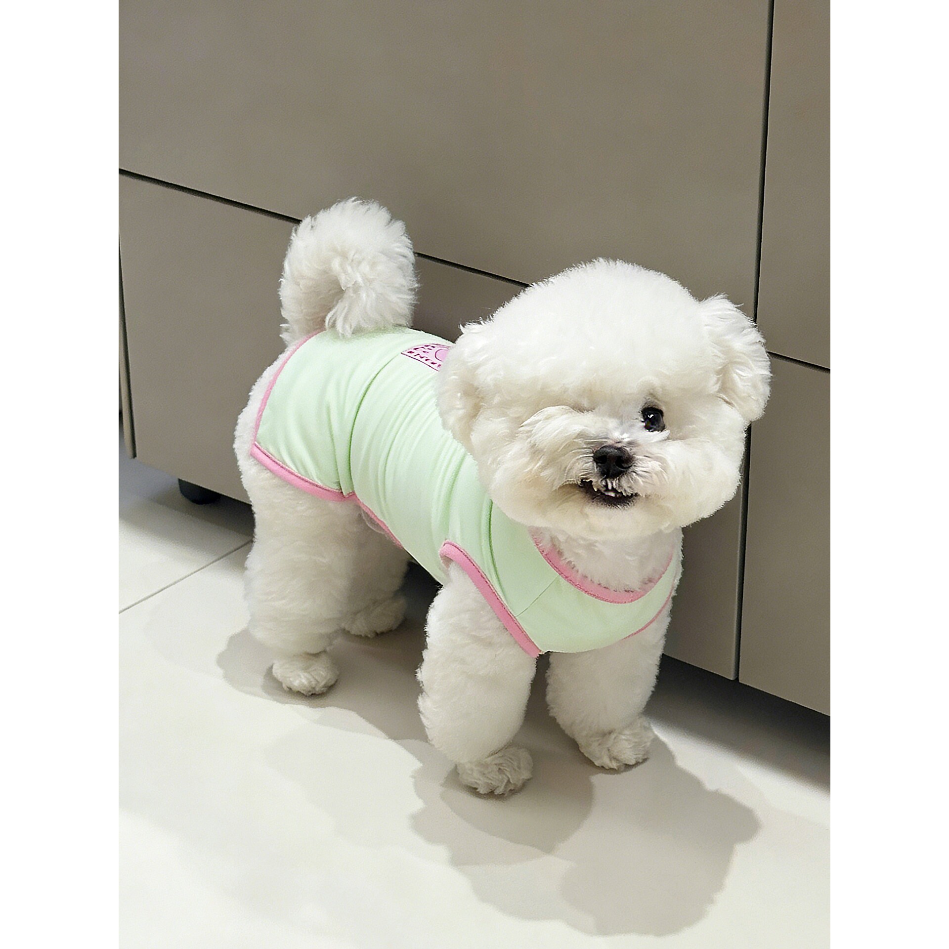 狗狗衣服小型犬四脚凉凉衣猫咪春夏薄款防掉毛春装透气凉爽小背心