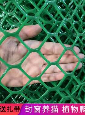 绿色大孔塑料网格植物爬藤网阳台防护网防猫咪安全围栏隔离封窗网
