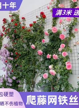 月季蔷薇爬藤专用铁丝网植物爬墙网花墙网格蔓藤墙面牵引网爬藤网