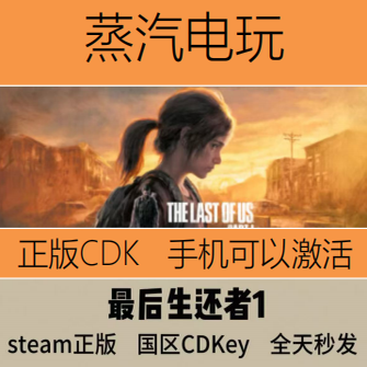 Steam正版最后的生还者激活码